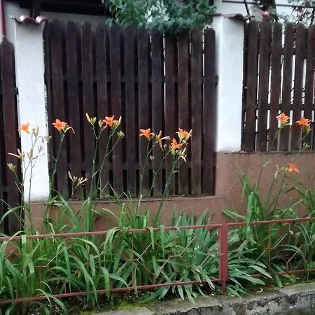 Casa Regal Villa Brasov