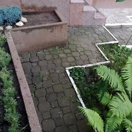 Casa Regal ヴィラ ブラショフ