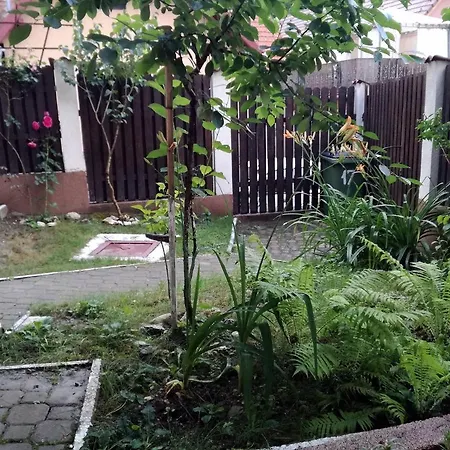 ヴィラ Casa Regal *