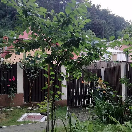 Casa Regal ヴィラ